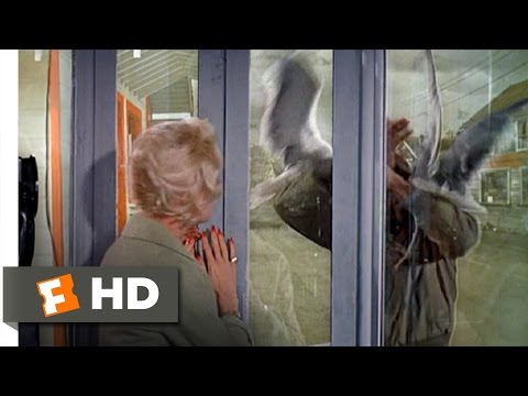 The Birds (8/11) Movie CLIP - Trapped in a Phone Booth (1963) HD