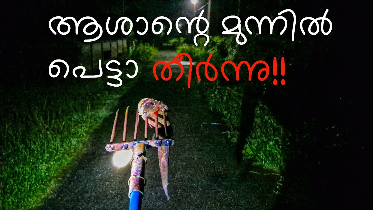 കുത്തു കമ്പി പ്രയോഗം!! സംഗതി പൊളിച്ചു 👌🏻😎 | NIGHT FISH HUNTING |#vlog  #snakehead #fishing #trending