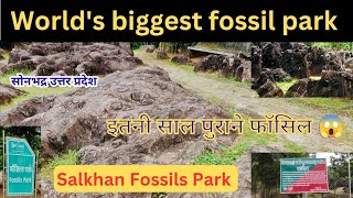 Salkhan Fossils Park Sonebhadra | World’s Oldest Fossil Park in India | Travel Vlog