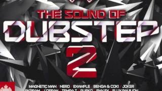 41 - Afterlife (Kryptic Minds Remix) - The Sound of Dubstep 2