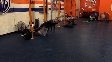 No Partner Nordic Hamstring Curl