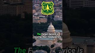 The PROBLEM with the Forest Service #forestservice #politics #economics