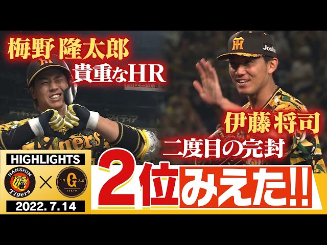 5月26日(日曜日) 阪神タイガースvs巨人 甲子園球場 ライト外野指定 