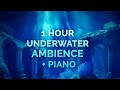 1 Hour Underwater Ambience with Classical Piano | Deep Ocean Background
