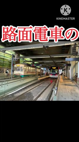 路面電車にも〇〇がある!?#short #shorts #地理 #鉄道