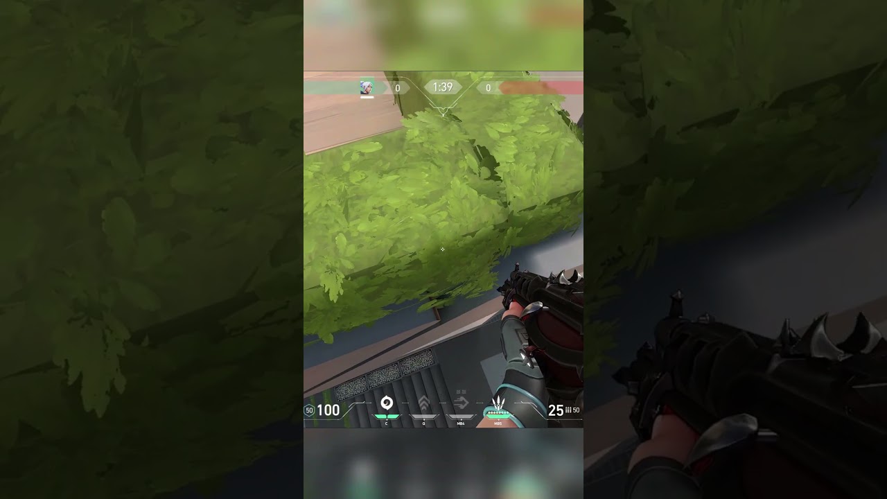 Best Camping Spot On Split! 