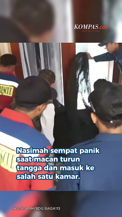 Macan Tutul Masuk Hotel di Bandung Diduga Kabur dari Lembang Park & Zoo
