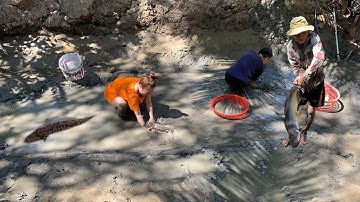 Tát Ao Bắt Cá Khủng Lâu Năm