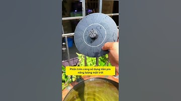 Biến Bể Cá Thành Tác Phẩm Nghệ Thuật Với Máy Bơm Phun Nước Năng Lượng Mặt Trời! #notashopvn