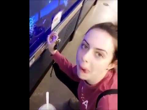 Dani Cimorelli and Lauren Cimorelli At A Petstore - YouTube Dani Cimorelli Vines