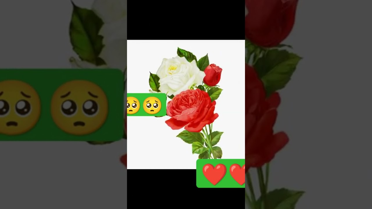 Maa k marey k bina agar koi Dua dene wala Rishta hota hai na, wo rishta bheno ka hai-WhatsApp status