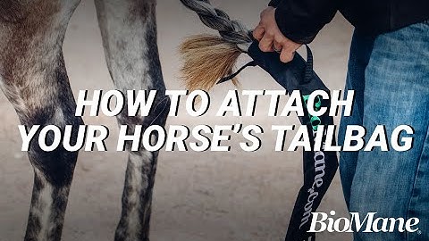 How To Properly Attach A BioMane Tailbag