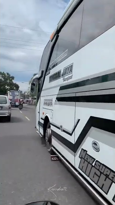 Story'wa Bus Pariwisata Tunggal Jaya Kids Panda