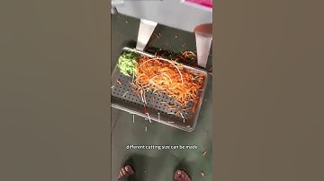 Automatic Vegetable Cutting Machine | Carrot Shredder Machine #vegetablecutter
