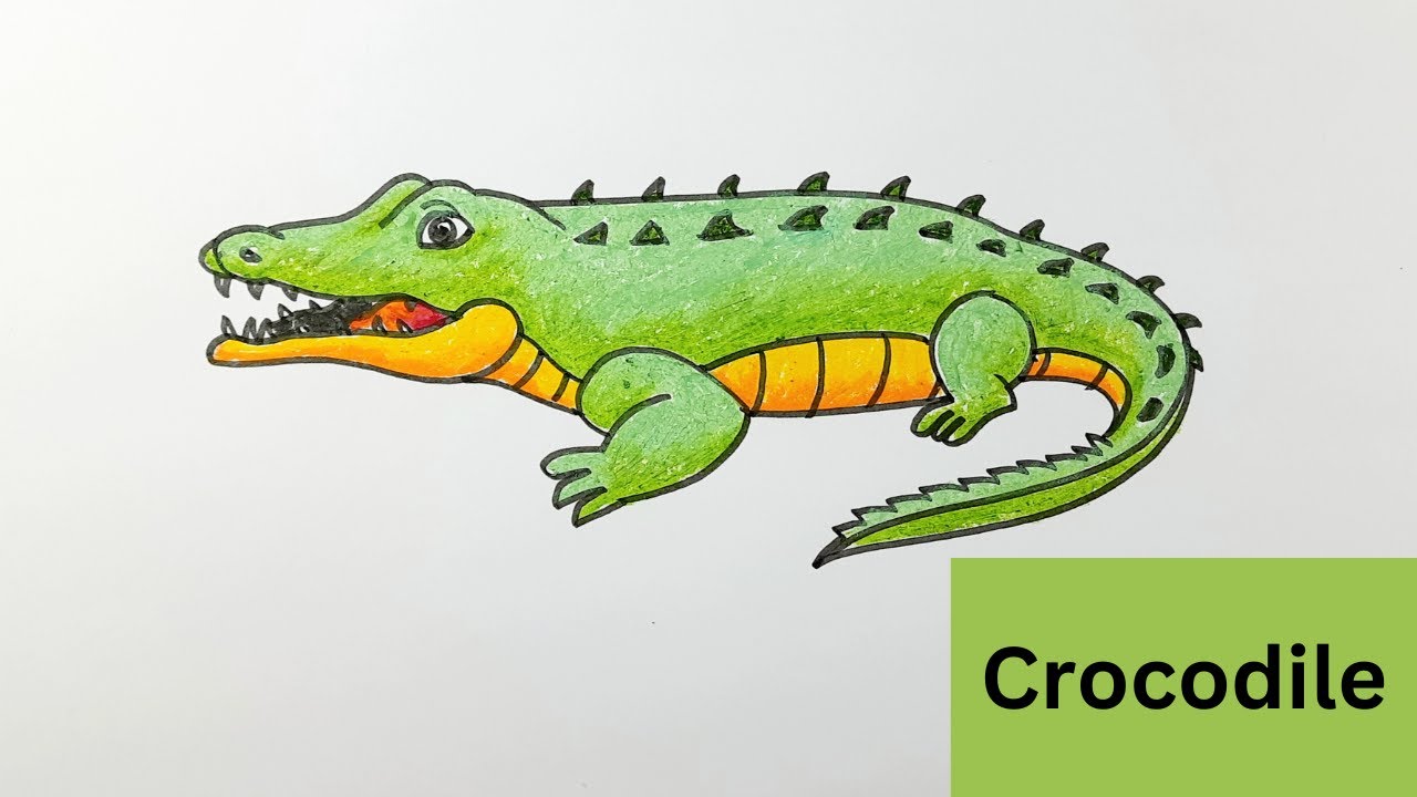Crocodile drawing step by step / Easy Crocodile drawing tutorial/ How to draw Crocodile ?