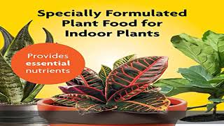 Miracle-Gro Indoor Plant Food Liquid