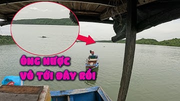 Chuyến đi mới chưa câu kéo gì còn gặp ông NƯỢC nữa | mưu sinh trên sông lòng tàu #sansănbắt 46