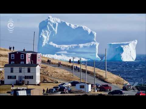 Video: Massivt Isberg I Ferryland, Newfoundland Drar Folkmassor