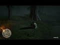 DO NOT HELP This Lady Crying in a White Dress in RDR2