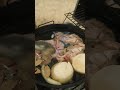 RECETA TACO DE SUADERO, LONGANIZA Y MORCILLA POR CARLOS ARISTI EN COLABORACIÓN CON CHEF MAGLIONI
