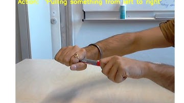 ECO: Efficient Convolutional Network for Online Video Understanding - ECCV 2018