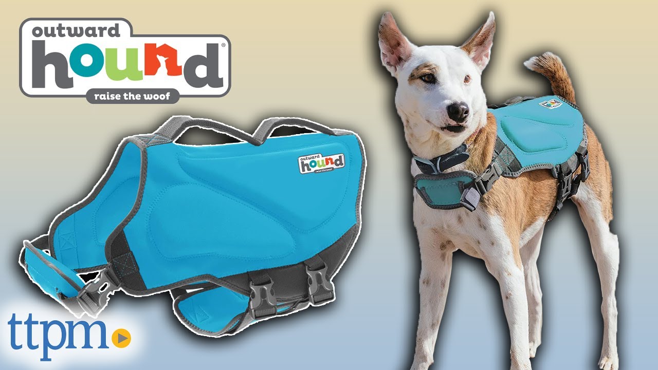  Outward Hound Granby Splash Yellow Dog Life Jacket, XL : Pet  Supplies