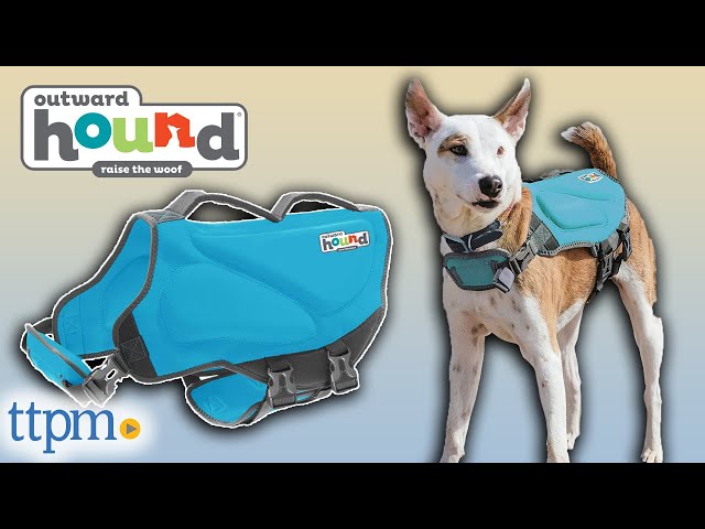 Rover Test Pups Review Outward Hound's Granby Splash Dog Life Jacket