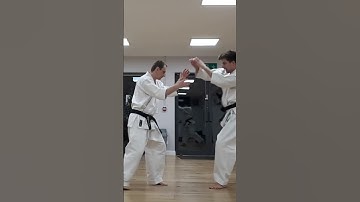 Sukui Uke Bunkai Bite