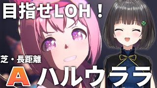 愛久沢 幸-Akuzawa Sachi- の配信のサムネイル画像
