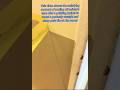 How to Get Perfect Paint Lines #diy #satisfying #asmr