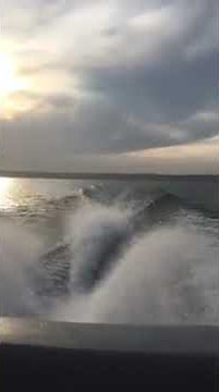 116849883 1166539810380964 4686733015052688149 n