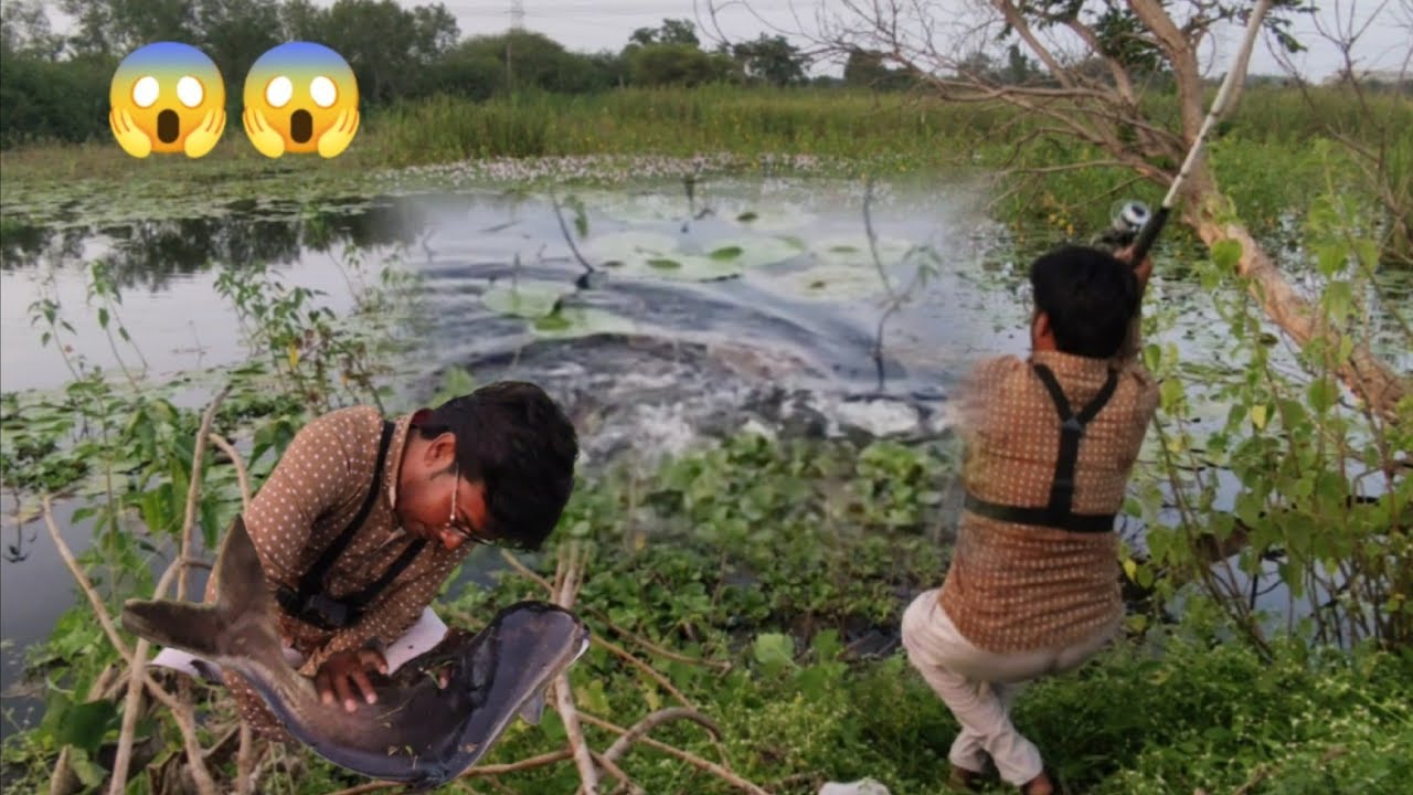 Big Monster catfish Catch | Fishing technique by singal hook