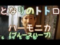 LV.17 ～ 25 「となりのトトロ」 ハーモニカ （ブルースハープ）初心者練習動画 - Harmonica