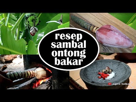Jantung Pisang Bahasa Jawa