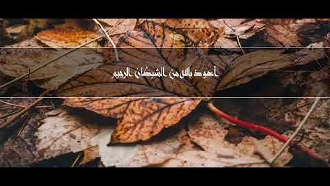 تلاوة هادئه || سوره طه -  القارئ  انس محمد 🍃
