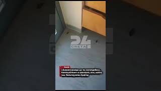 «Συγκατοικούμε με τις κατσαρίδες»,  καταγγέλλουν οι φοιτητές στις εστίες του Πολυτεχνείου Κρήτης