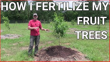How and when to fertilizing fruit trees
