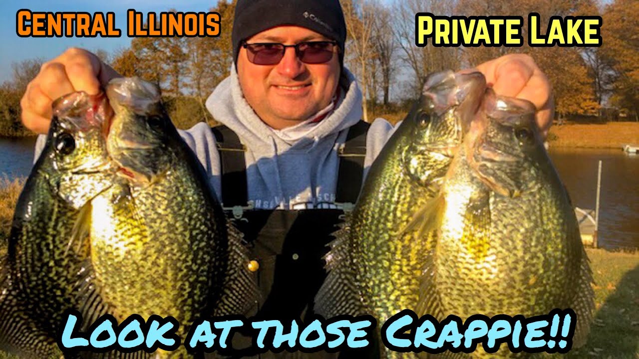 Catching Bass and Crappie at a Central Illinois Strip Mine! YouTube