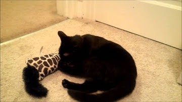 Kong Kickeroo Kitties