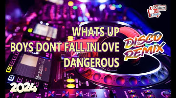 WHATS UP x BOYS DONT FALL IN LOVE x DANGEROUS🎵DISCO REMIX 2024