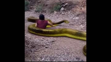 Nagin6| 🐍🙏 pratha slept| #subscribe #trending #viralshort #famous #like #love #nagin #snake