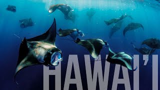 Snorkeling with MANTAS on Big Island, Hawaii!!!