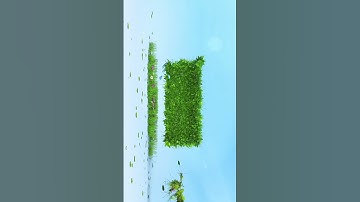 Trending Leaves Name Photo Video Editing 100% Viral😳🔥? Name Art Video Editing | Name Video Editing