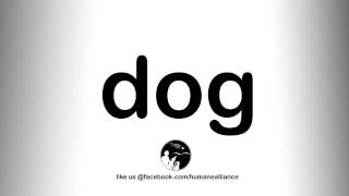 How To Pronounce Dog