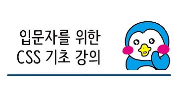 입문자를 위한 CSS 기초 강의 #20 수업 마무리