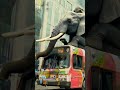 Elephant Rides the Bus in AI Cartoon 🐘