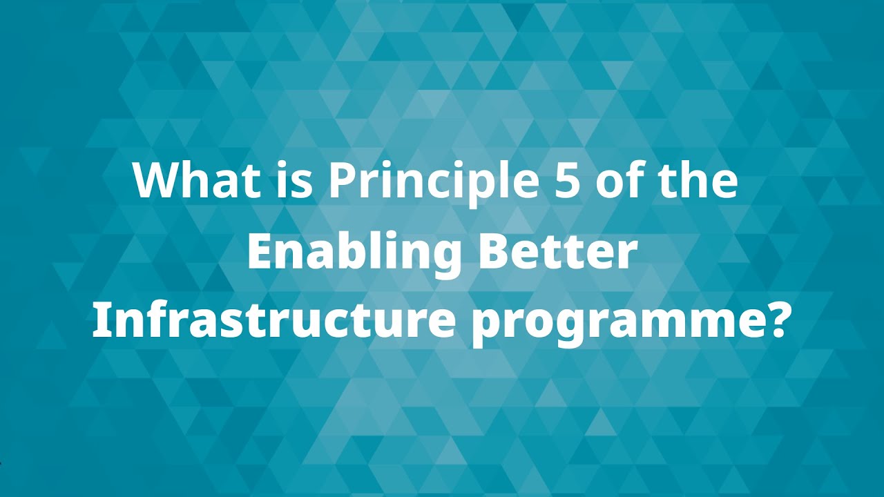 What is principle 5 of the Enabling Better Infrastructure programme? | ICE