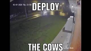 DEPLOY THE COWS