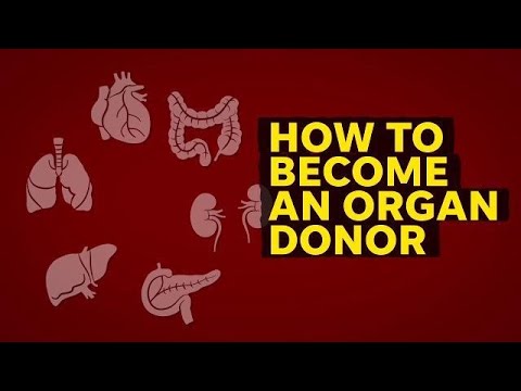 Wie ein Organspender werden