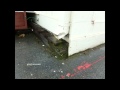 Keep Rain Gutter Downspouts Away from Wood Foundation - Water Damage Keep Rain Gutter Downspouts Away from Wood Foundation - Water Damage